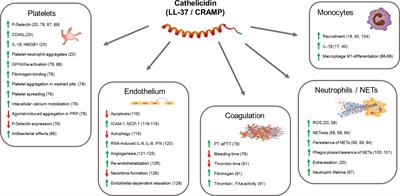 Role of antimicrobial peptide cathelicidin in thrombosis and thromboinflammation